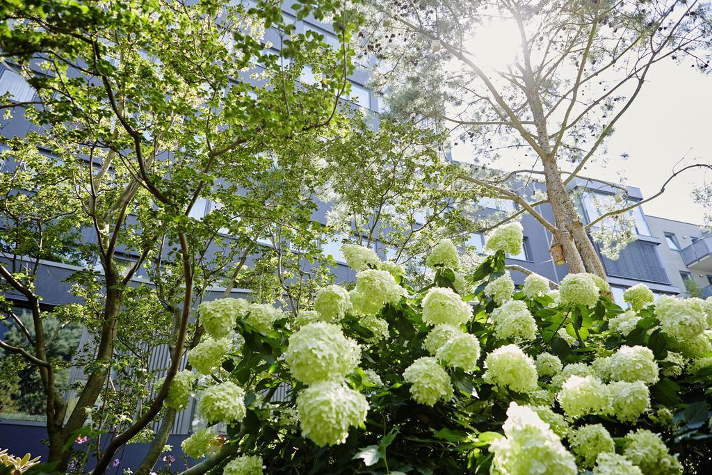 Savoy Hotel Кьолн Екстериор снимка